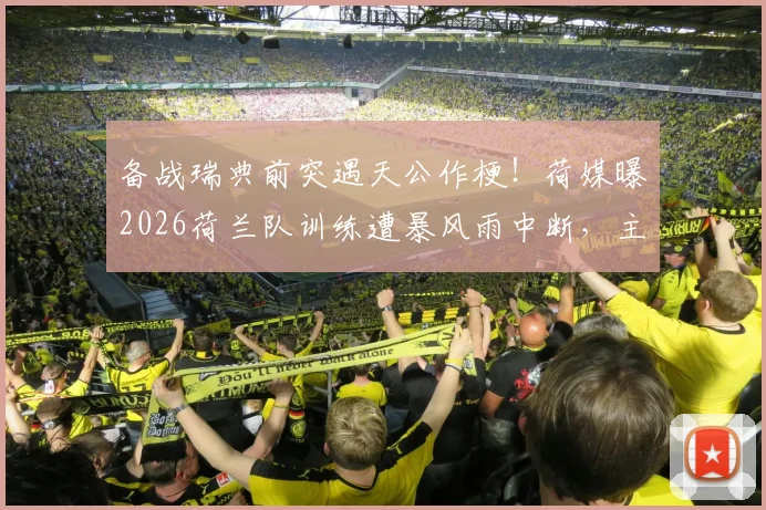 备战瑞典前突遇天公作梗!荷媒曝2026荷兰队训练遭暴风雨中断,主力范黑克眼部淤青引关注,最新伤情报告确认可出战